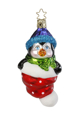 Penguin in Blue Santa Hat