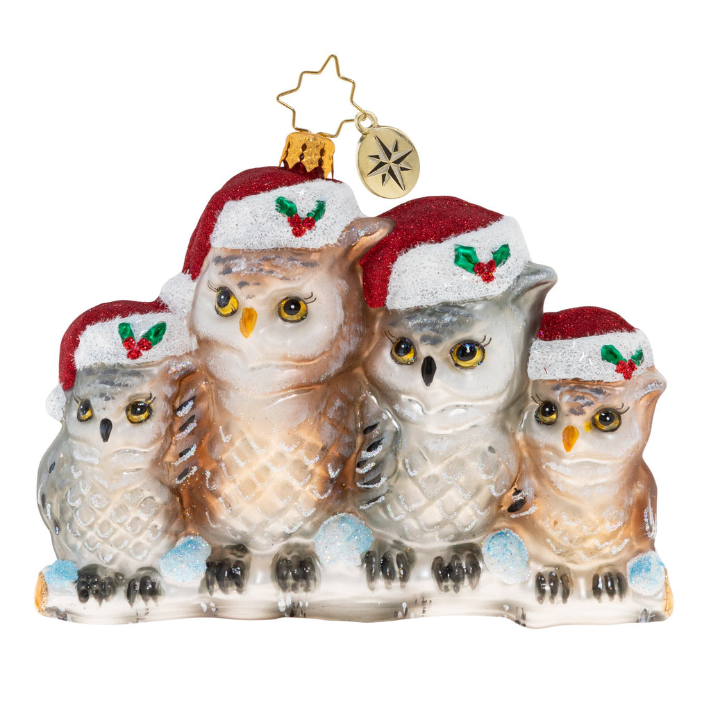It's Owl In The Family, 1020506, Christopher Radko 