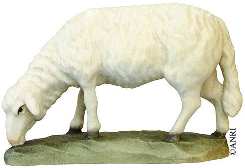Koult - Sheep Grazing