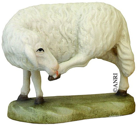 Koult - Sheep Grooming