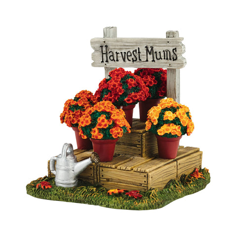 Harvest Fields Mums, 4054212, Department 56 