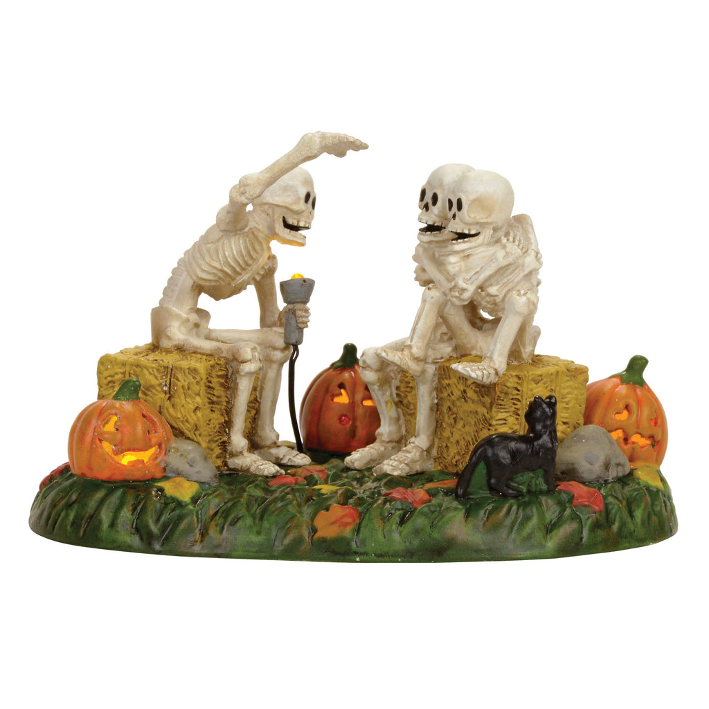 HV, Scary Skeleton Stories, 4056710, Halloween Village