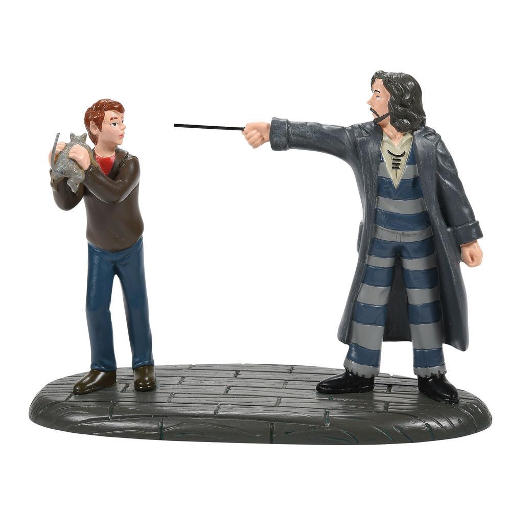  Come Out and Play, Peter!, 6007756, Harry Potter Village