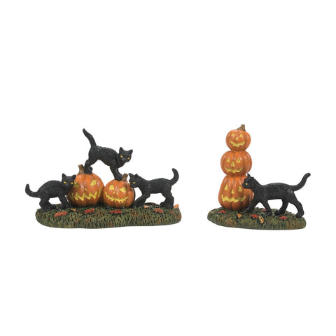 VA, Scary Cats Pumpkins ST/2, 6012285, Department 56