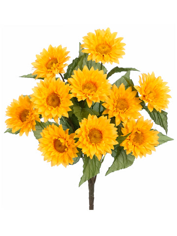 Sunflower Bush X10 Yellow